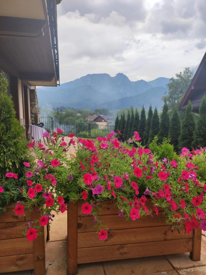 Harnasiowa Izba Ski - Polana Szymoszkowa Ski Resort Zakopane Eksteriør billede